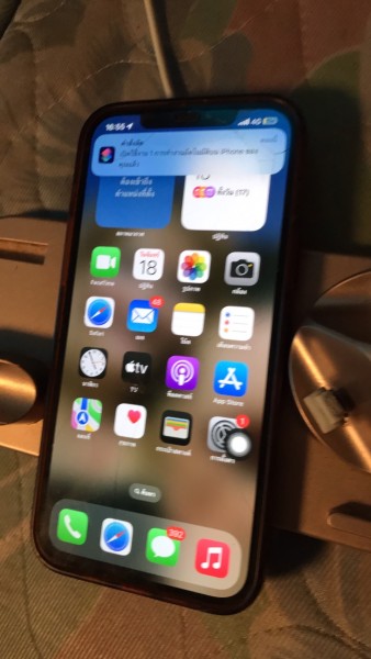 1000085317